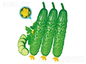 ����(y��u)1̖-�S�ϷN��-�����N�I(y��)