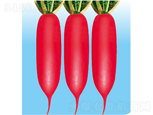 ��������-�}���N��-�����N�I(y��)