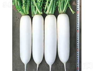 ��������-�}���N��-�����N�I(y��)