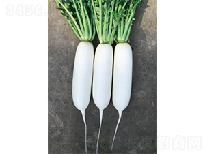 ��������-�}���N��-�����N�I(y��)