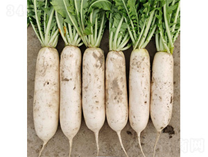 ��������-�}���N��-�����N�I(y��)