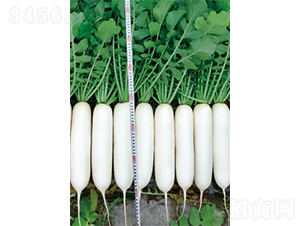 ��������-�}���N��-�����N�I(y��)