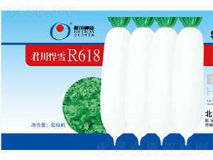 ������ѩR618-�}���N��-�����N�I(y��)