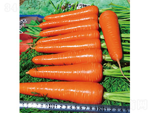 ʥ��2̖(h��o)-���}���N��-�����N�I(y��)