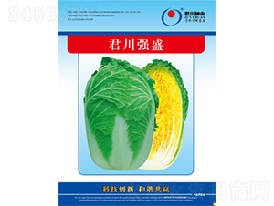 ������(qi��ng)ʢ-�ײ˷N��-�����N�I(y��)