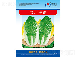 �����Ҹ�-�ײ˷N��-�����N�I(y��)