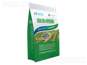 ΢�������-���S����ʢ-������S