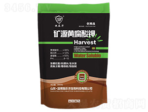 �VԴ�S�����-ʩ����