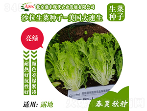 ����(gu��)������-���˷N��-���S�r(n��ng)�I(y��)