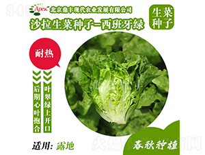 �������G-���˷N��-���S�r(n��ng)�I(y��)