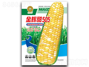 ���x��505-���׷N��-�A��N�I(y��)