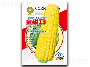 ����13-���׷N��-�A��N�I(y��)