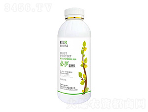 �����F-���o-����������