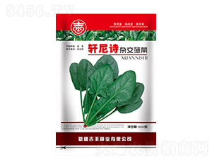 ܎��Ԋ�s������-���˷N��-���S�N�I(y��)