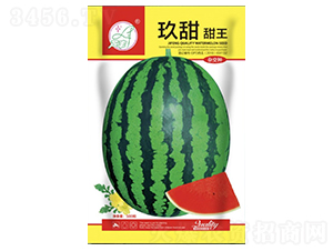 ��������-���ϷN��-���S�N�I(y��)