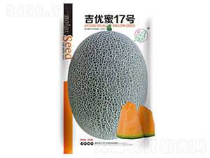 ����(y��u)��17̖-��ϷN��-���S�N�I(y��)