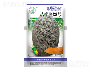 ���S��28̖-��ϷN��-���S�N�I(y��)