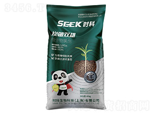 ̿���p��(����̿����)-�r������