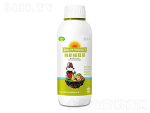 �ЙC��ጵ�-Ǭʮ��-�t̫���r(n��ng)�I(y��)