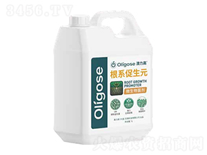 �����߸�ϵ����Ԫ-�W����