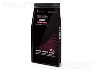 ؐ�R��΢�������-����˼