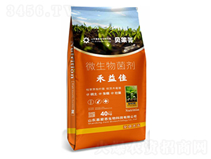 �����΢�������-����˼