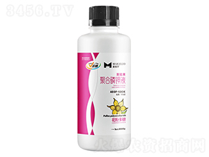 ���ܹ��ۺ����Һ-�����_