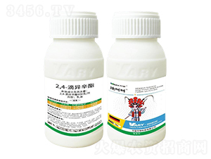 900��/��2,4-�ή�����-�غǺ�-�f��