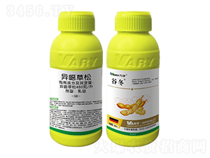 480�������f����-�ȶ�-�f��