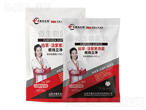 �ݲݡ��������߾�-ľ�~ʯ