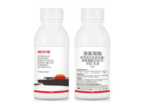 25��ÿ�������������-���I��-�|�h(yu��n)����