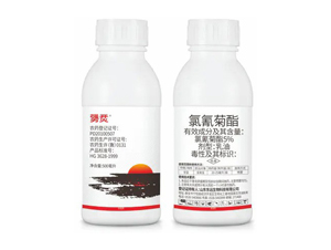 5%�����������-�ߞ�-�|�h(yu��n)����