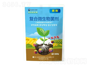 ��(f��)��΢�������-�����̦