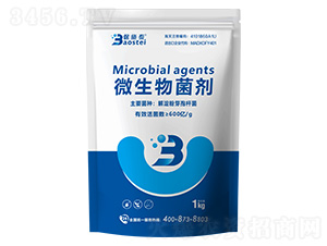 600�|΢�������-��ʩ̩