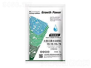 ����Ԫ��ˮ�ܷ���19-19-19+TE-�_��ؐ��-�S��֮��