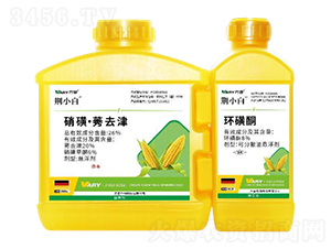 26%���ǡ�ݬȥ��-�GС��-�f��