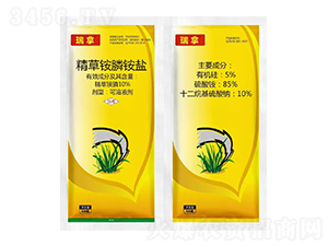 10%�����@��@�}-����-�t̫�