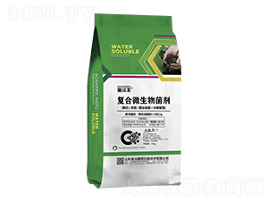 �۹Ȱ����͏ͺ�΢�������-�����S-��������