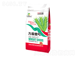 �f(w��n)��Ҽ̖(h��o)-�f(w��n)�ҼZ�}(c��ng)-�f(w��n)��(d��n)�Z