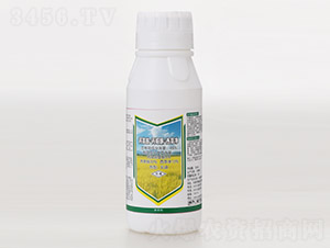 48%���ݰ������fͪ�����݃�-ˮ��-�L�p�r(n��ng)ˎ