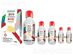 ���׸߮a(ch��n)��Q����-�n����-�n�ѻ��W(xu��)