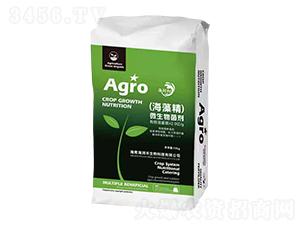 (���徫)΢�������-����(r��n)�S