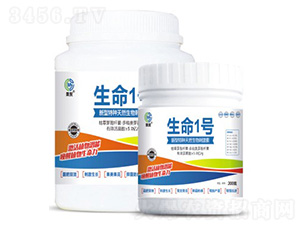 ����1̖-��ï����