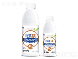 �����V-��ï����