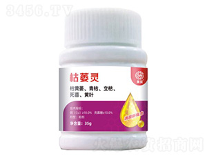 ��ή�`-��ï����