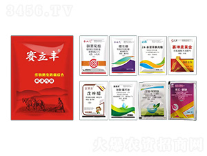 ������x�����C�Ͻ�Q����-ِ���S-ِ���r�I(y��)