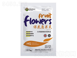 ���������`-��(��i)������