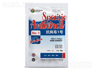 ������1̖-�۶�����