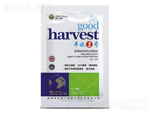 �S��1̖-���徫�A�ЙC(j��)ˮ�ܷ���-�۶�����