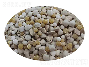 ����⛏�(f��)���-���^����